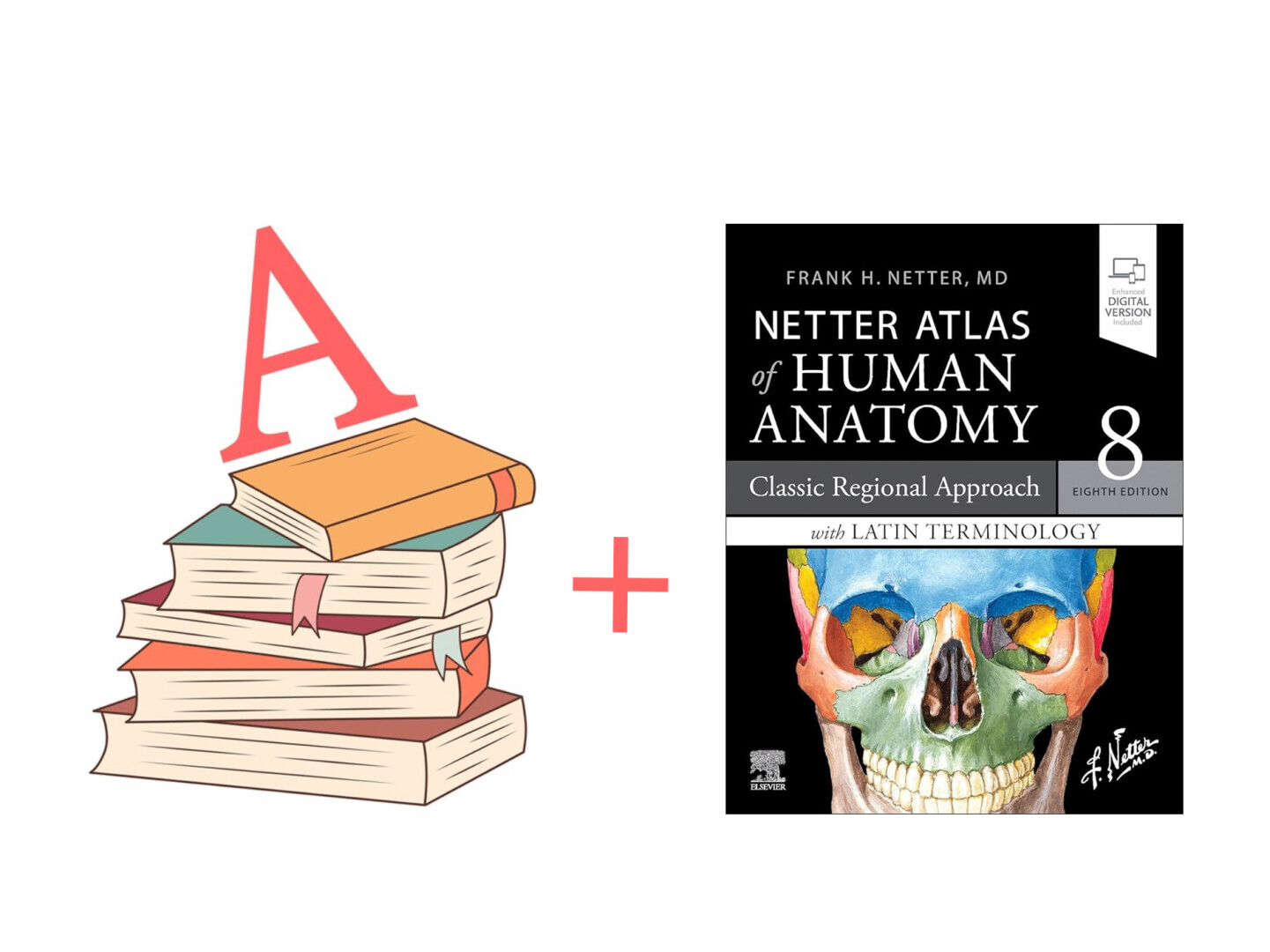 Boekenpakket A + Netter Atlas der Anatomie