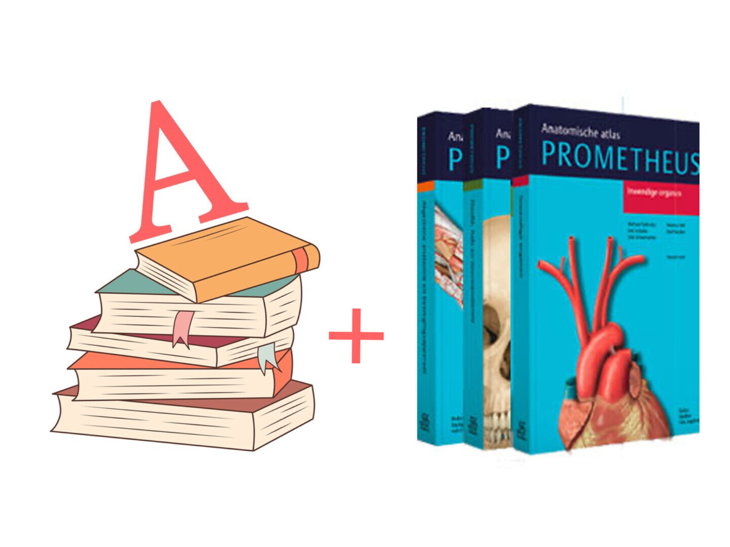 Boekenpakket A + Prometheus 3 delig