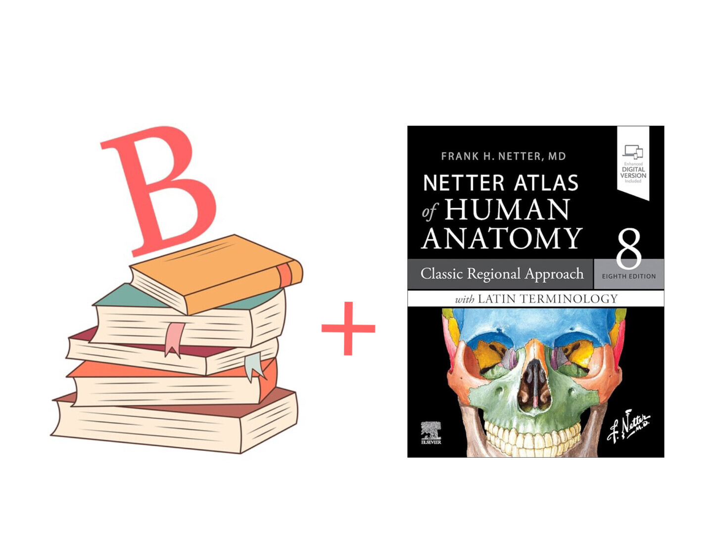 Boekenpakket B + Netter Atlas der Anatomie