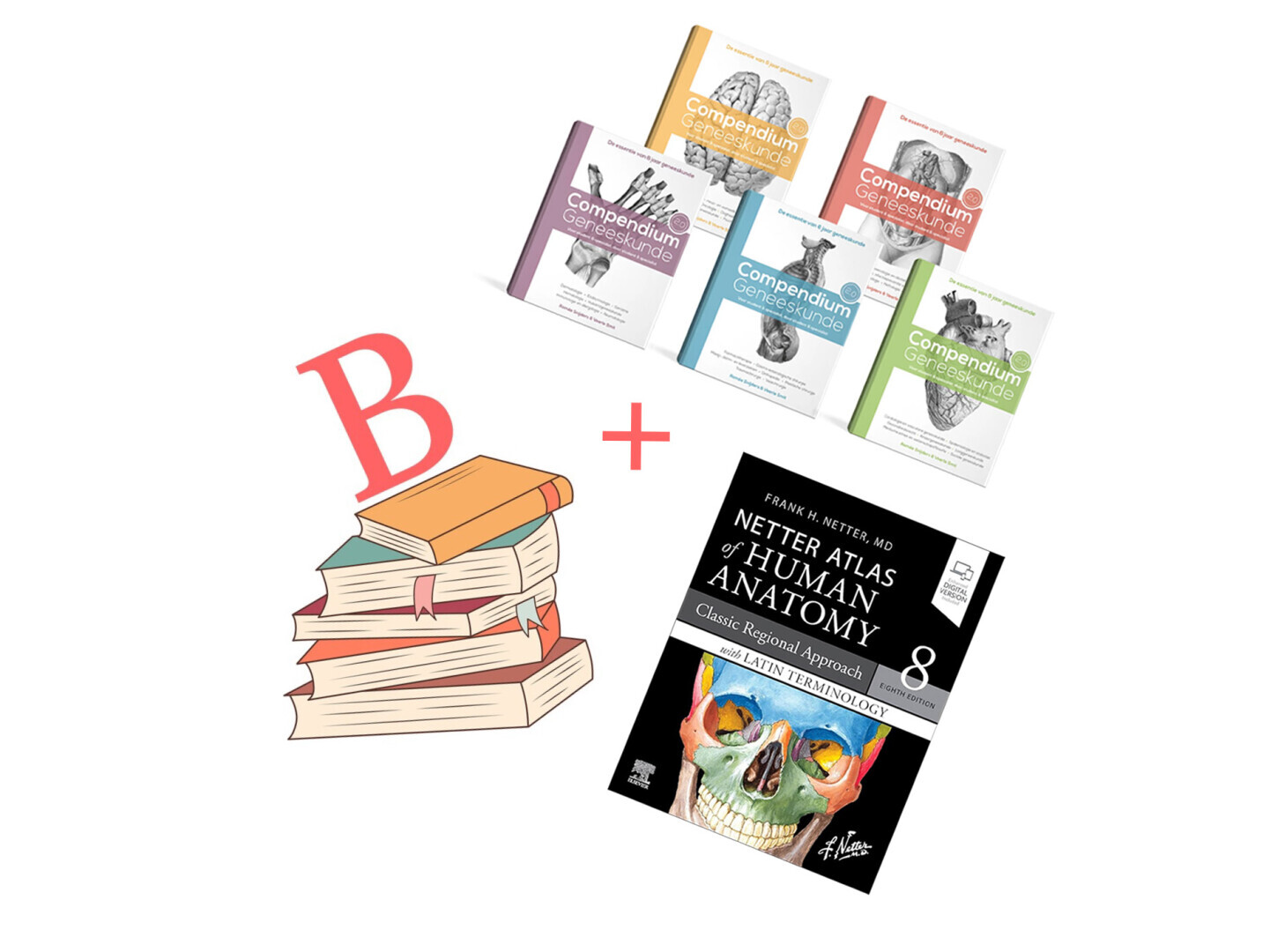 Boekenpakket B + Compendium + Netter Atlas der Anatomie