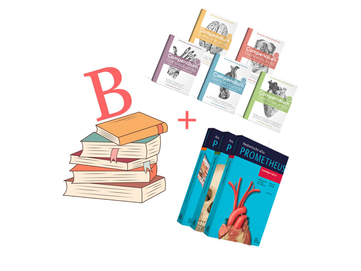 Boekenpakket B + Compendium + Prometheus 3-delig