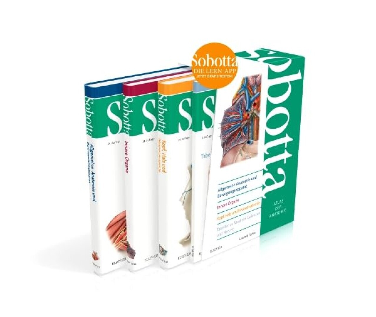 Sobotta cassette 3 delen en tabellenboek